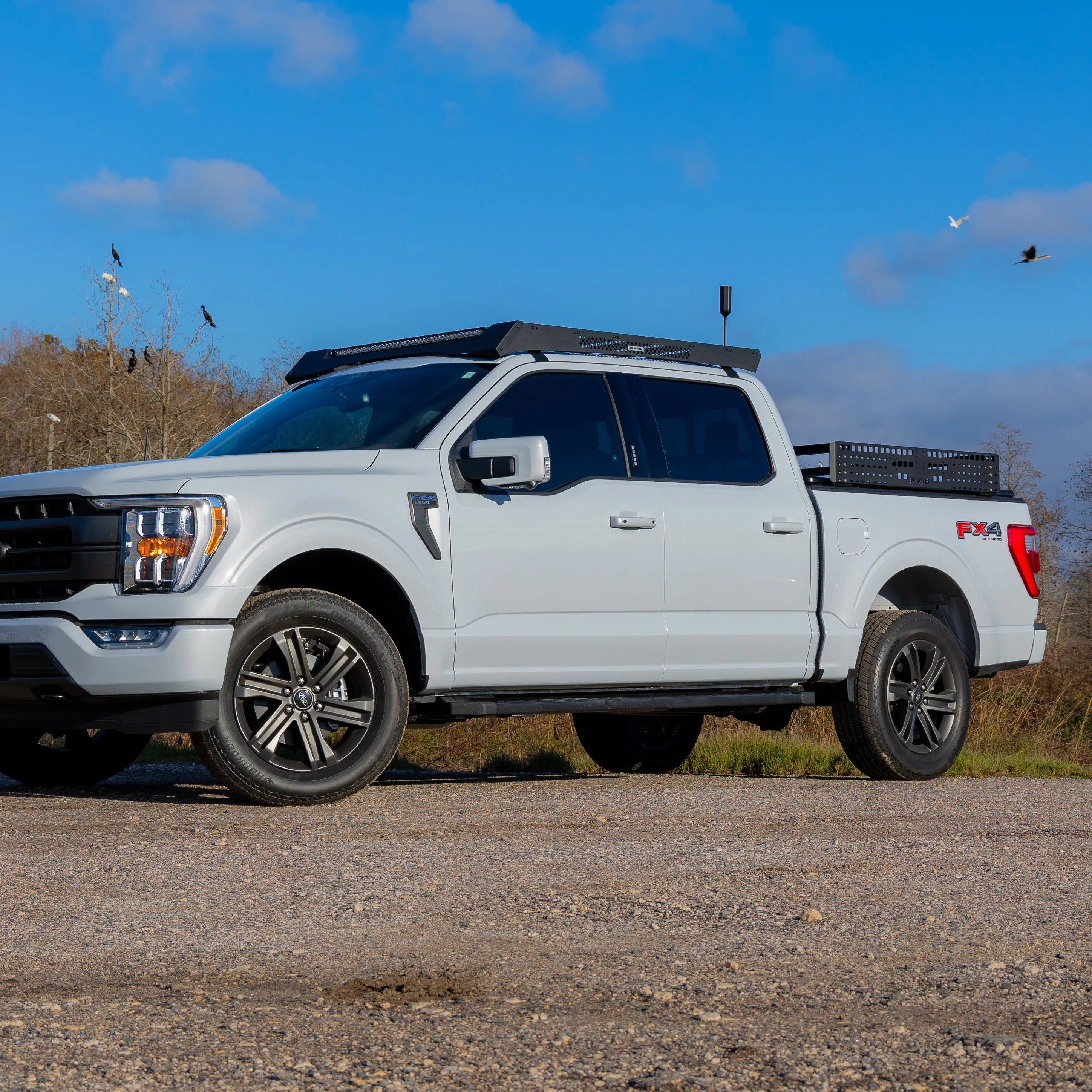Ford F-150 (2015-Present), Low Profile Bed Rack - Image 19